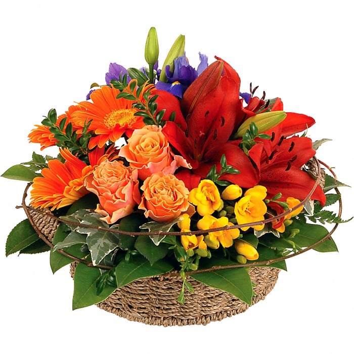Elegance Basket Arrangement The Flower Company