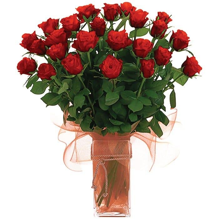 24 Long Stemmed Red Roses In Vase The Flower Company